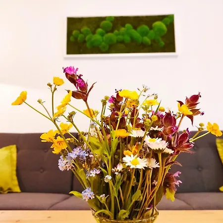 Apartamento Ehrentaler Gbr *